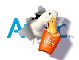 AflacTN's tweet photo. Life Insurance IS NOT expensive and EVERYONE needs it! Please don't leave your family unprepared. No medical exams. #AflacTN #DuckPrints https://t.co/IGELd9DHr1
