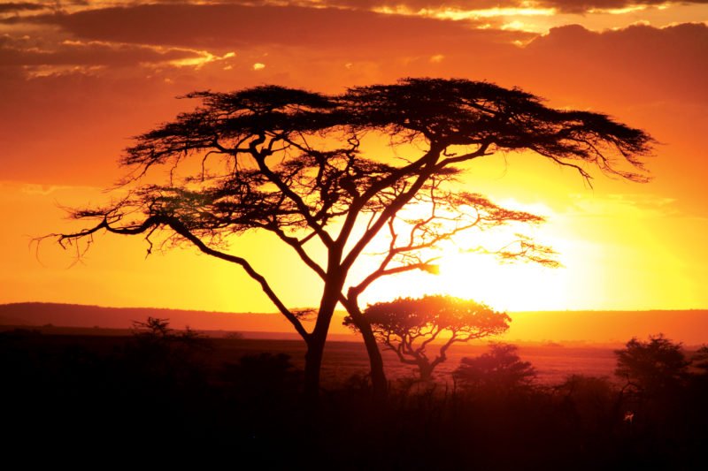 Intrepid_Travel's tweet photo. What it's like to live in Kenya as a Brit: https://t.co/Q50XSHWDak #LiveIntrepid https://t.co/Jgb3hDWVJN