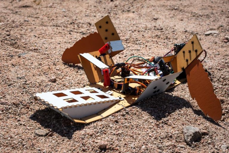 Raspberry_Pi's tweet photo. New post: a cheap, autonomous, Pi-powered landmine-clearing robot from students at @ASU
https://t.co/TLwIWH6NkB https://t.co/wt2cQ3Er31