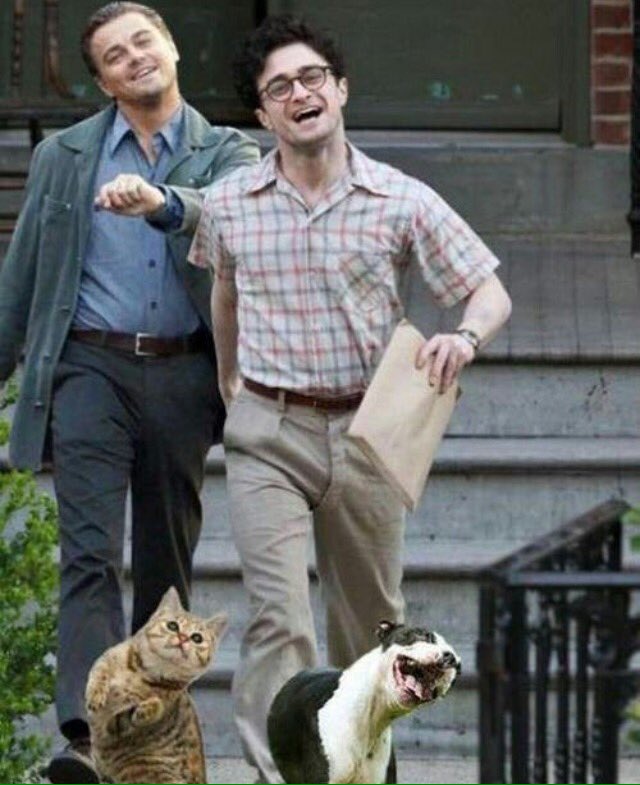 do_mapa's tweet photo. Quando meu plano de fazer alguém ler Harry Potter dar certo https://t.co/ygthhaSHjx