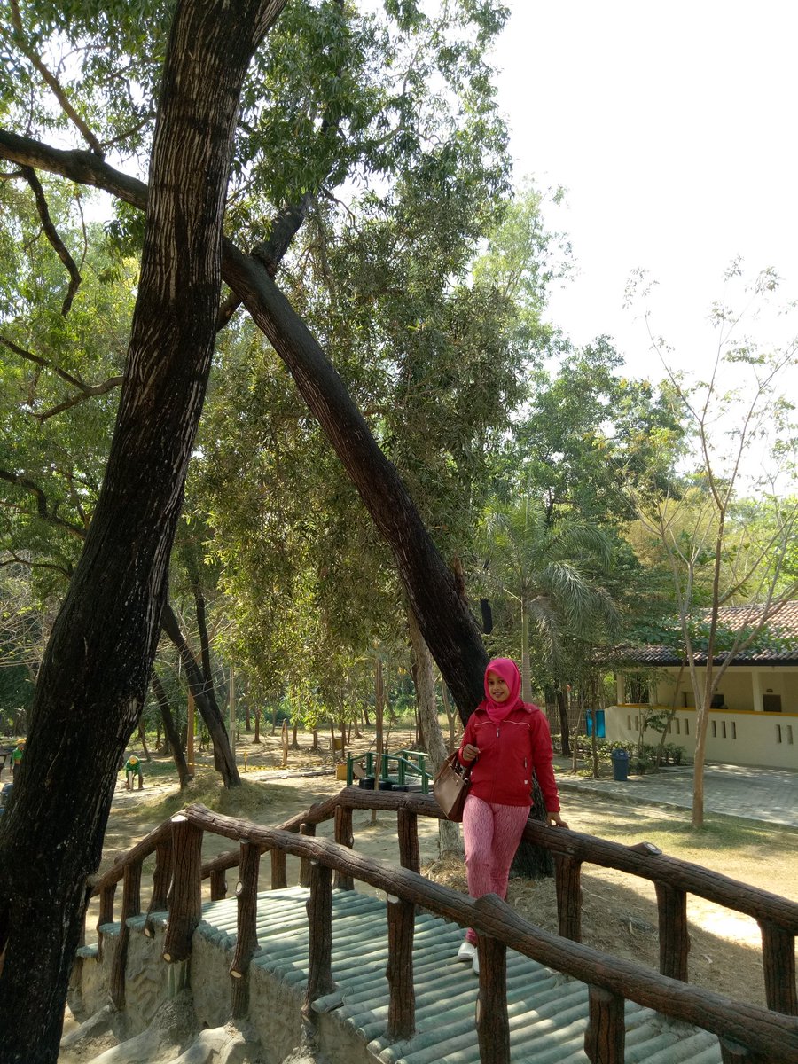 lhashell tweet picture