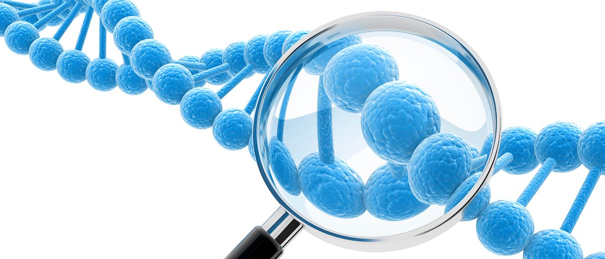 genomicsedu tweet picture