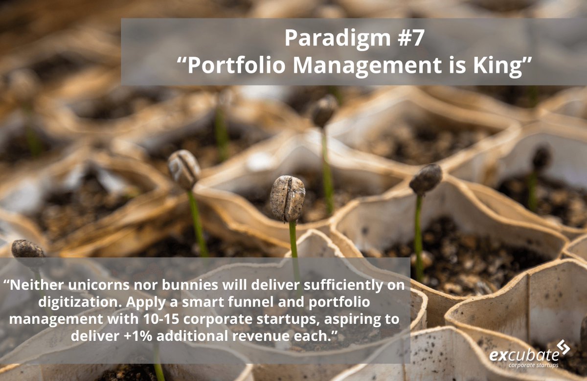 excubate tweet media