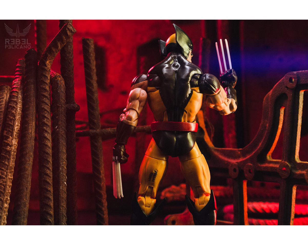 Wolverine trio #Wolverine #Logan #Marvel #MARVELLEGENDS #Hasbro #actionfigures #captainamerica #toyphotography #Toys <a href="/Marvel/">Marvel Entertainment</a> <a href="/Hasbro/">Hasbro</a> #comics