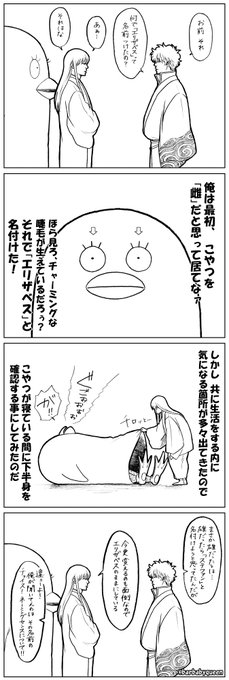 最も人気のある 銀魂 エリザベス ドラゴニア 100 イラスト 最も人気のある 銀魂 エリザベス ドラゴニア 100 イラスト