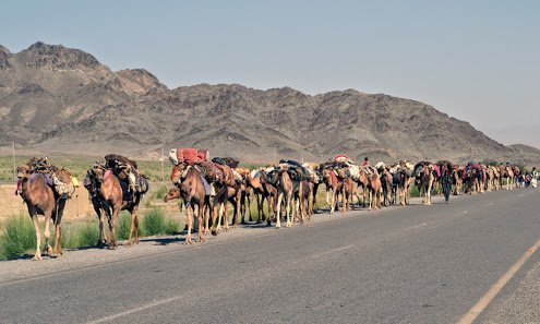 powindah_'s tweet photo. "ma da koochi da stargo zaar k...."
#Nostalgic #Caravan #Zhob #TakhteSulaiman
#Powindah
#BeautifulPakistan https://t.co/7ouR1UH7jz