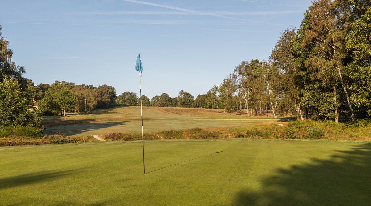 TP TOUR (@tptourgolf) on Twitter photo The classic heathland <a href="/top100golf/">Top 100 Golf Courses</a> Royal Ashdown Old Course <a href="/RoyalAshdownPro/">RAFGC Pro Shop</a> <a href="/SussexSport/">SussexSport</a> Monday 7th August app.bluegolf.com/bluegolf/appe_… #TP #Tour The classic heathland <a href="/top100golf/">Top 100 Golf Courses</a> Royal Ashdown Old Course <a href="/RoyalAshdownPro/">RAFGC Pro Shop</a> <a href="/SussexSport/">SussexSport</a> Monday 7th August app.bluegolf.com/bluegolf/appe_… #TP #Tour