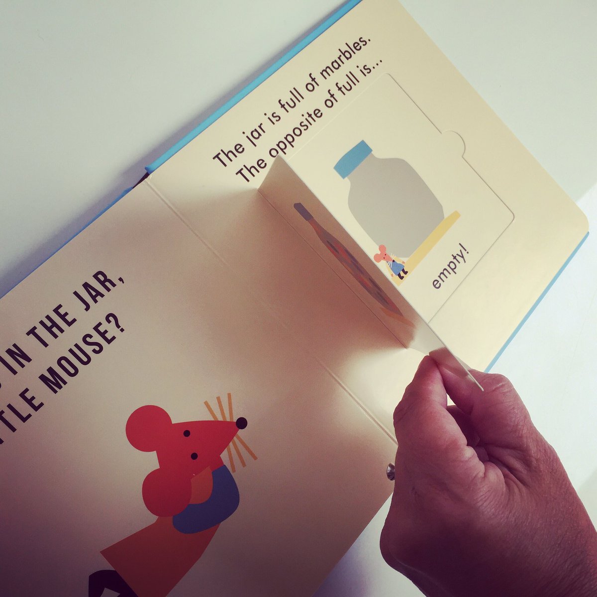 bookgiftblogger's tweet photo. Perfect concept books for little hands #CountingThings #OppositeThings by @annakovecses https://t.co/vSEpAqtAOS https://t.co/8l0ok5p1I6