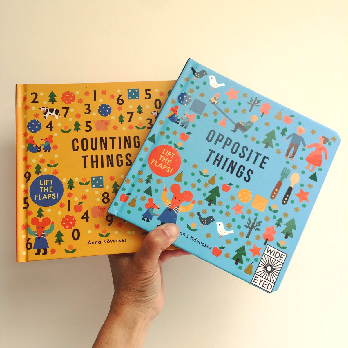 bookgiftblogger's tweet photo. Perfect concept books for little hands #CountingThings #OppositeThings by @annakovecses https://t.co/vSEpAqtAOS https://t.co/8l0ok5p1I6