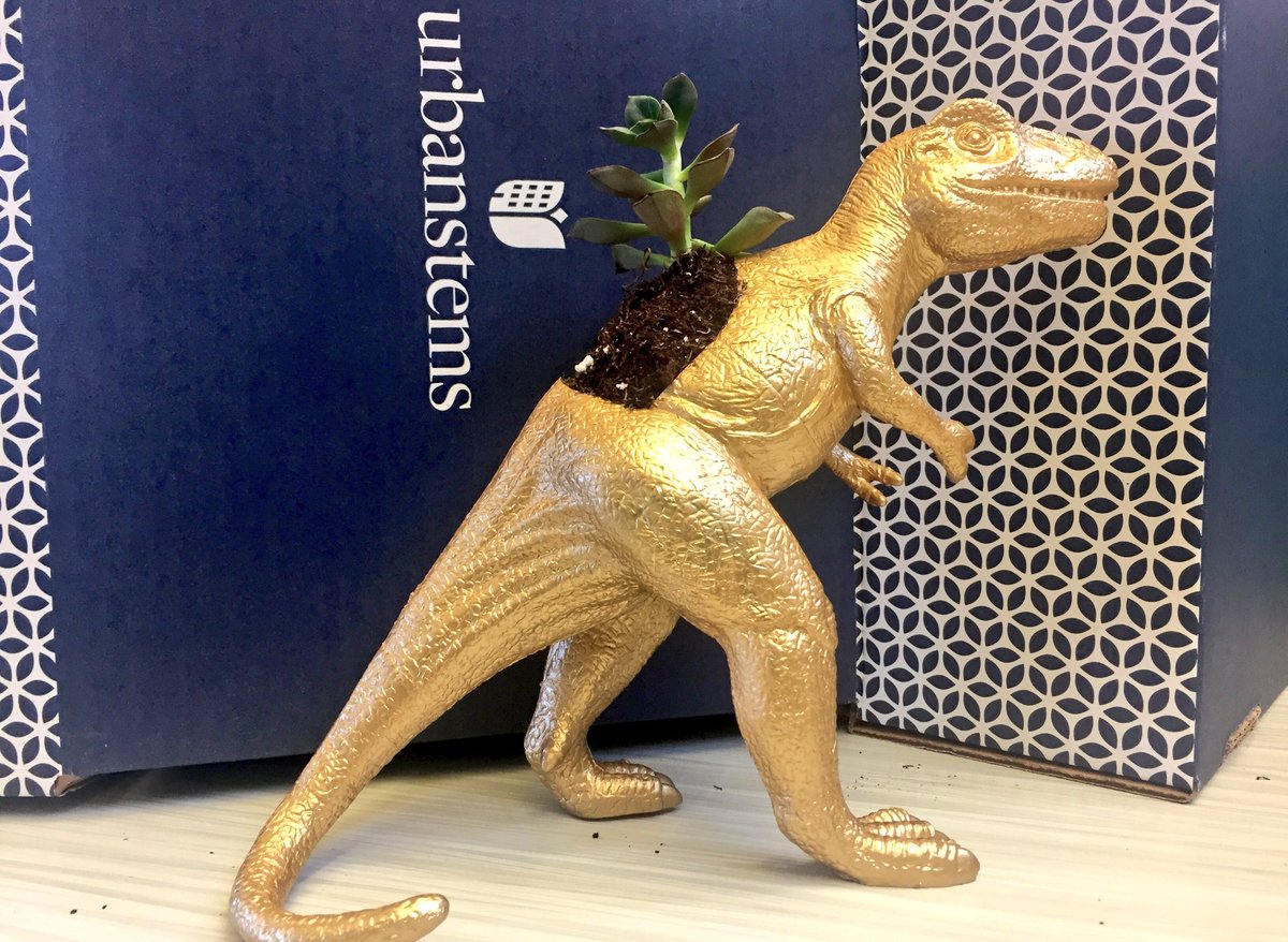 KateBmorePR's tweet image. You know an event was a success when a congratulatory gold dino is delivered. Thanks @BrandLinkDC