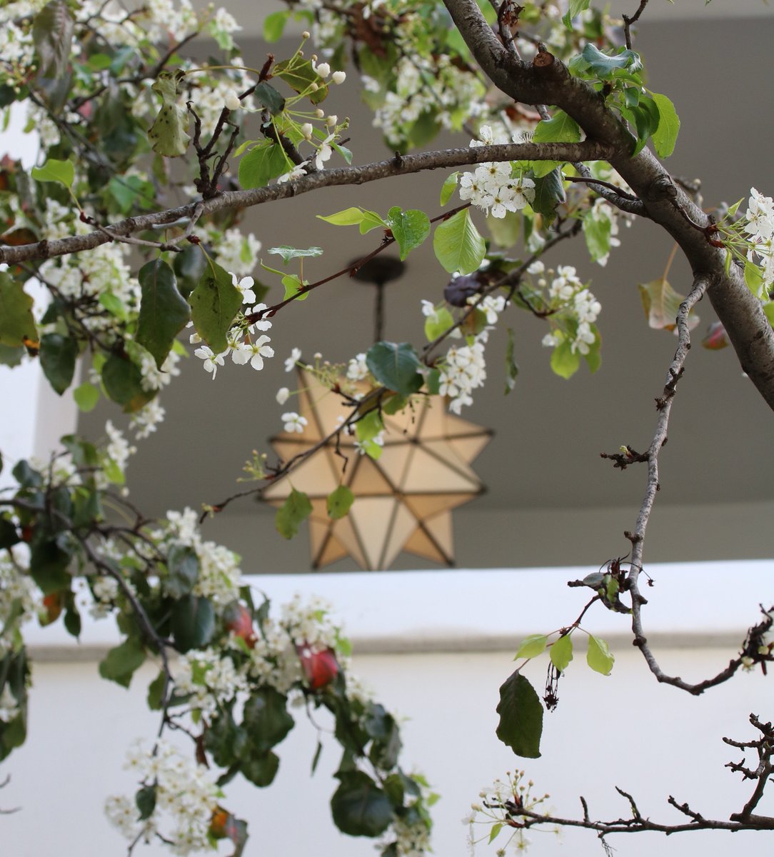 Walk through our garden, discover yourself and our take on Californian cuisine.