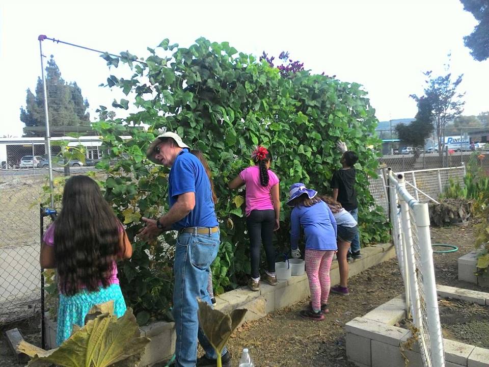 CCSCamarillo's tweet photo. Gold Coast Gymnastics came to visit the Preschoolers! Mr. Sandy, how does your garden grow??😊 https://t.co/uFaWhGrJPK