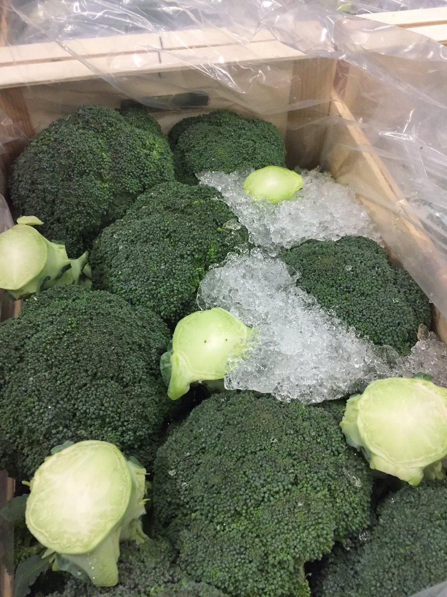 FountainImports's tweet photo. Fixed Broccoli prices available now for the coming winter, with great supply options @davidsoler_broc @FountainFoods https://t.co/MFaPDdTQhO
