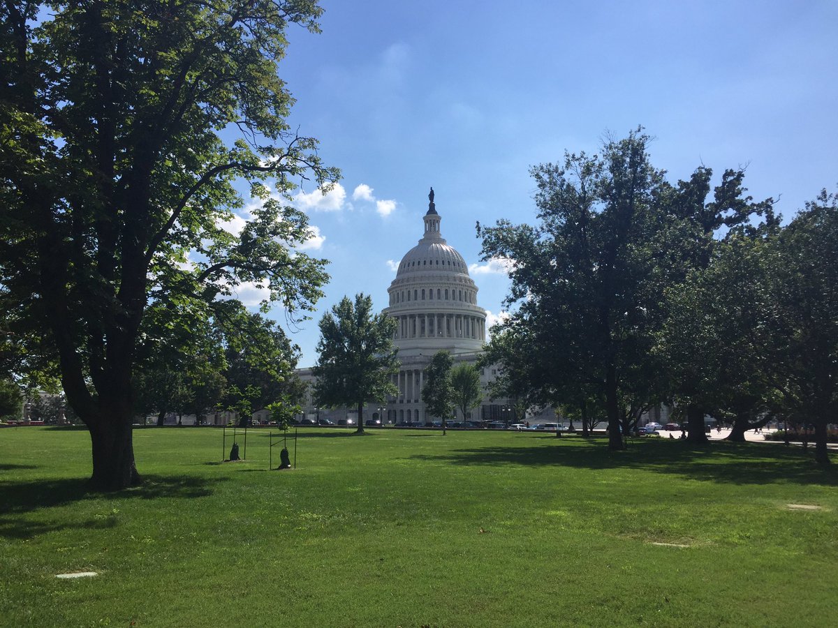 Katie_PLASTICS's tweet photo. It's a beautiful day to be on the Hill #PlasticsProud https://t.co/IkTqdnI7TR
