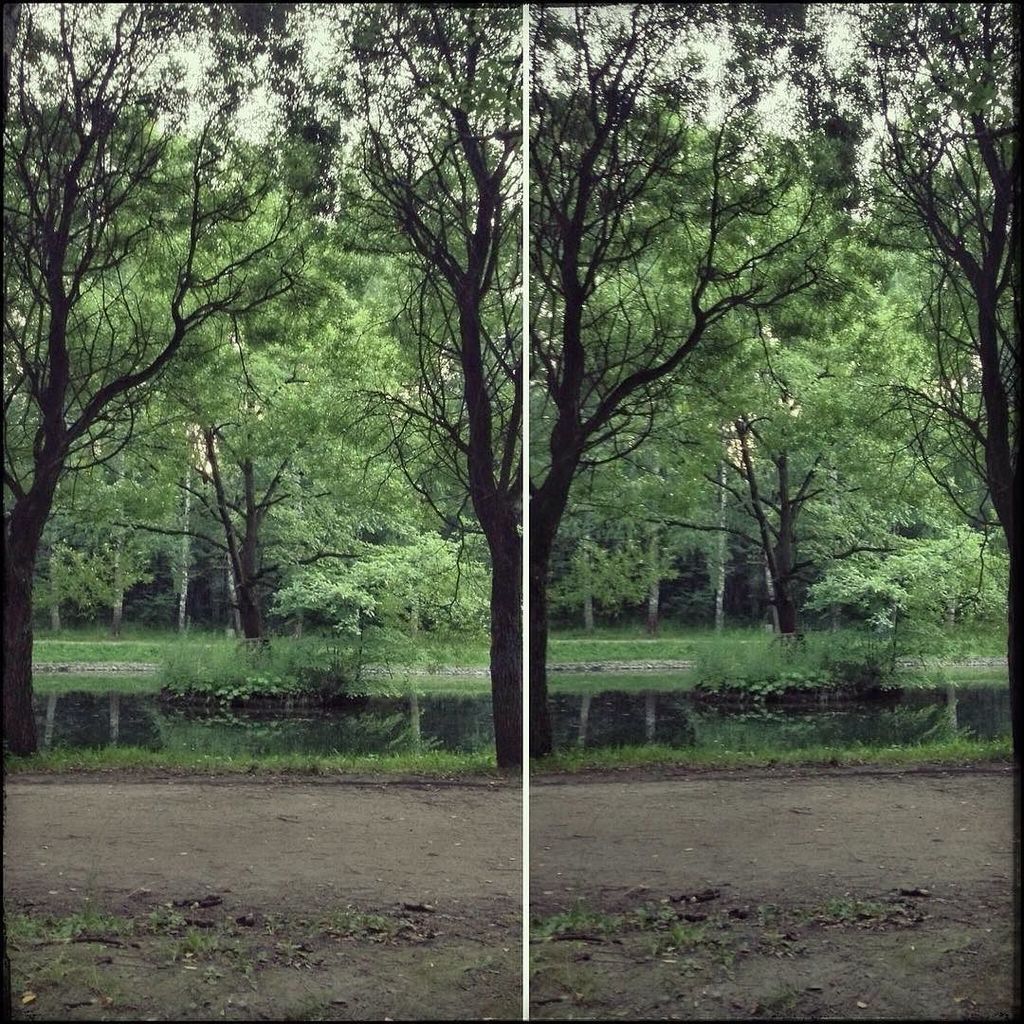 UhuBeobachter's tweet photo. #StereoPair #StereoScope #StereoPhoto #parallelstereo #СтереоФото #СтереоПара #Стереоскоп 🌳 #Сокольники #Sokolnik… https://t.co/AuRpbDsn9n https://t.co/P8m2jxb4gY
