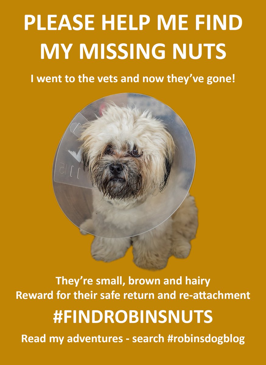 John_newstead's tweet photo. In Part 10 of #robinsdogblog a visit to the vet hasn't gone well. #findrobinsnuts. https://t.co/RwvGPlvWNM https://t.co/mfJOawP407