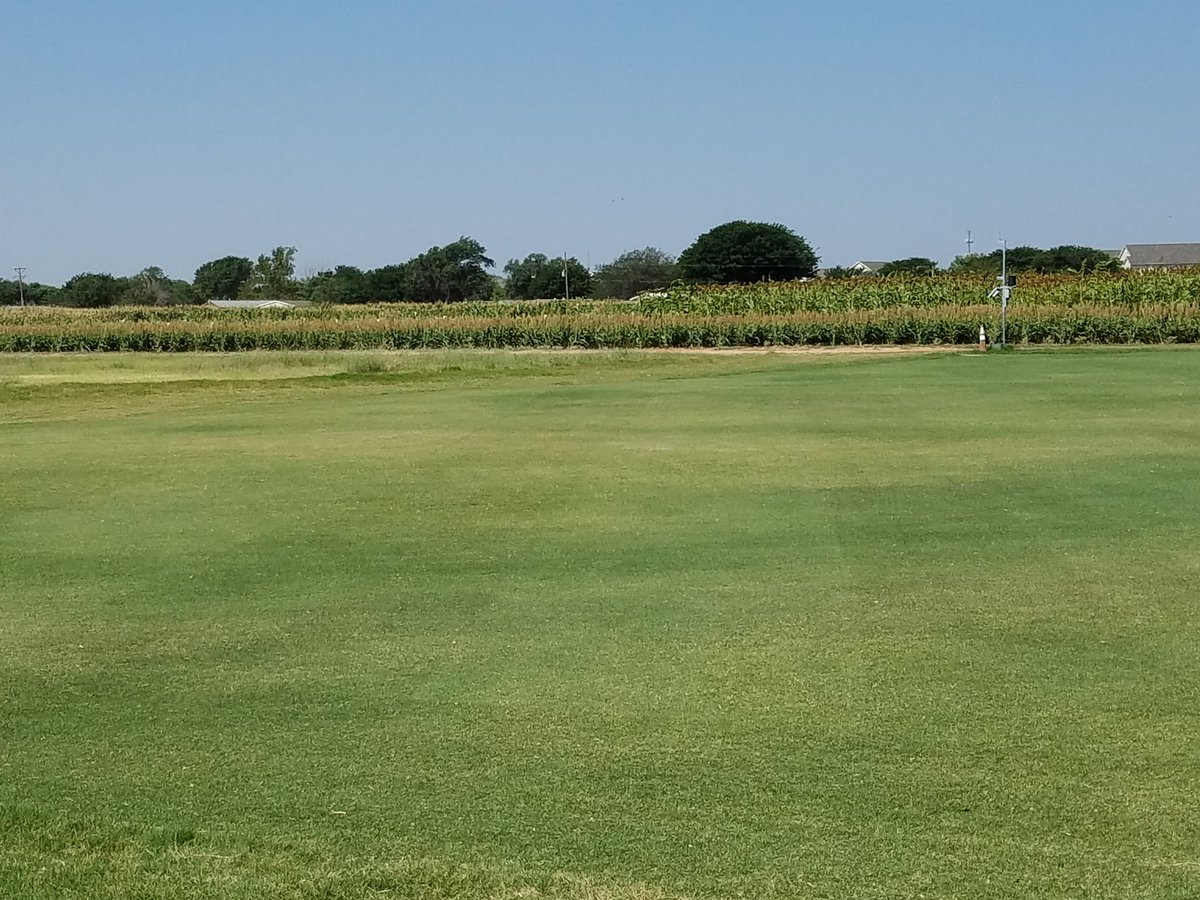 TifSport Bermuda well established at Quaker Farm growing and striping well on .3 inches water per week for last 6 weeks. <a href="/HPUWCD/">High Plains UWCD</a> <a href="/TTUturf/">Texas Tech Turf Sci.</a>