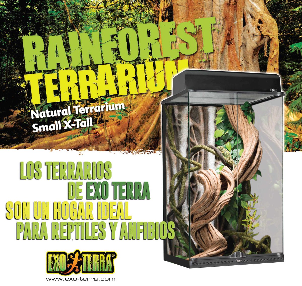 Hagen_Arg's tweet photo. Conocé los mejores Terrarios para reptiles y anfibios!!! #reptiles #mascotas #Hagen https://t.co/shkFTSFcZ4