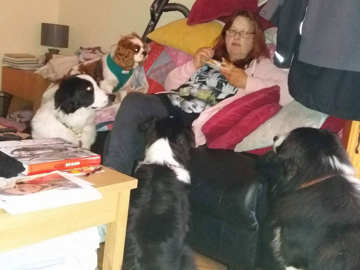fimberloof's tweet photo. @BCTGB Glasgow gang trying to steal my toast😊 https://t.co/22i8Wk0X2E