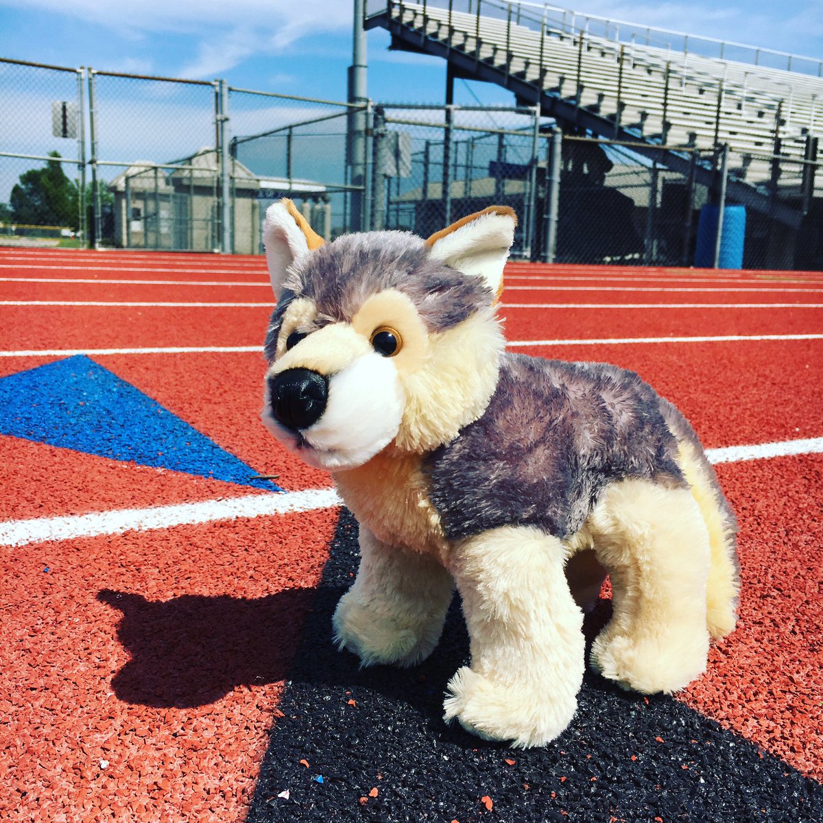 Kilbourne5K's tweet photo. Miles is training for the #kilbourne5k with a track workout. #beapartofthepack #ItsWorthIt https://t.co/Gun63yuIKu