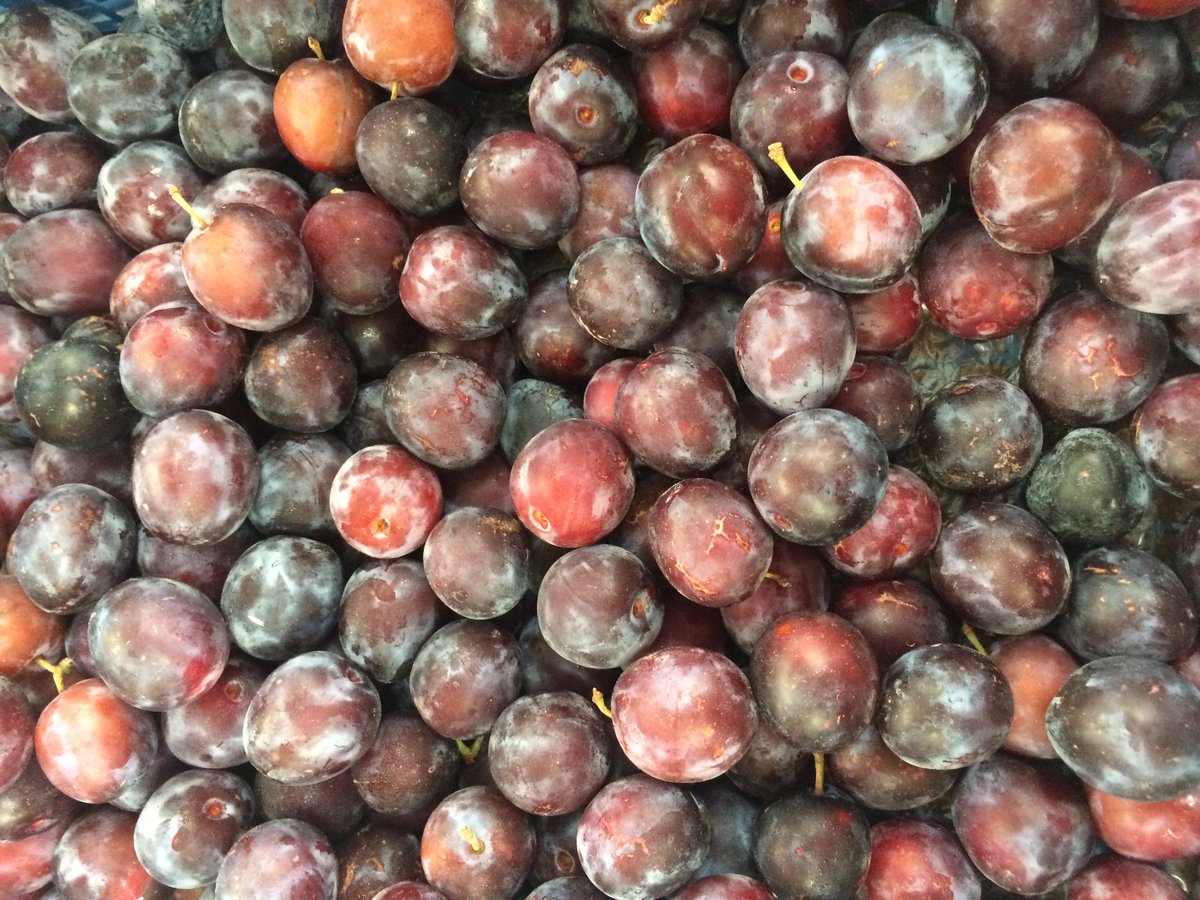Bushel Box Farm Shop tweet media
