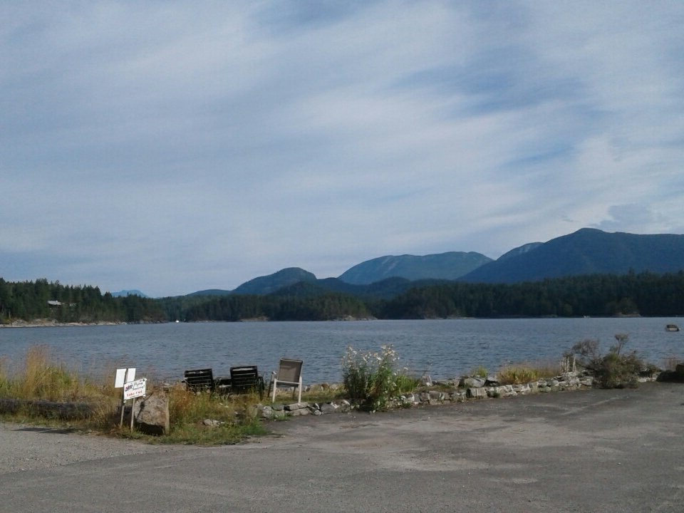 MistickFarm's tweet image. An other suny day