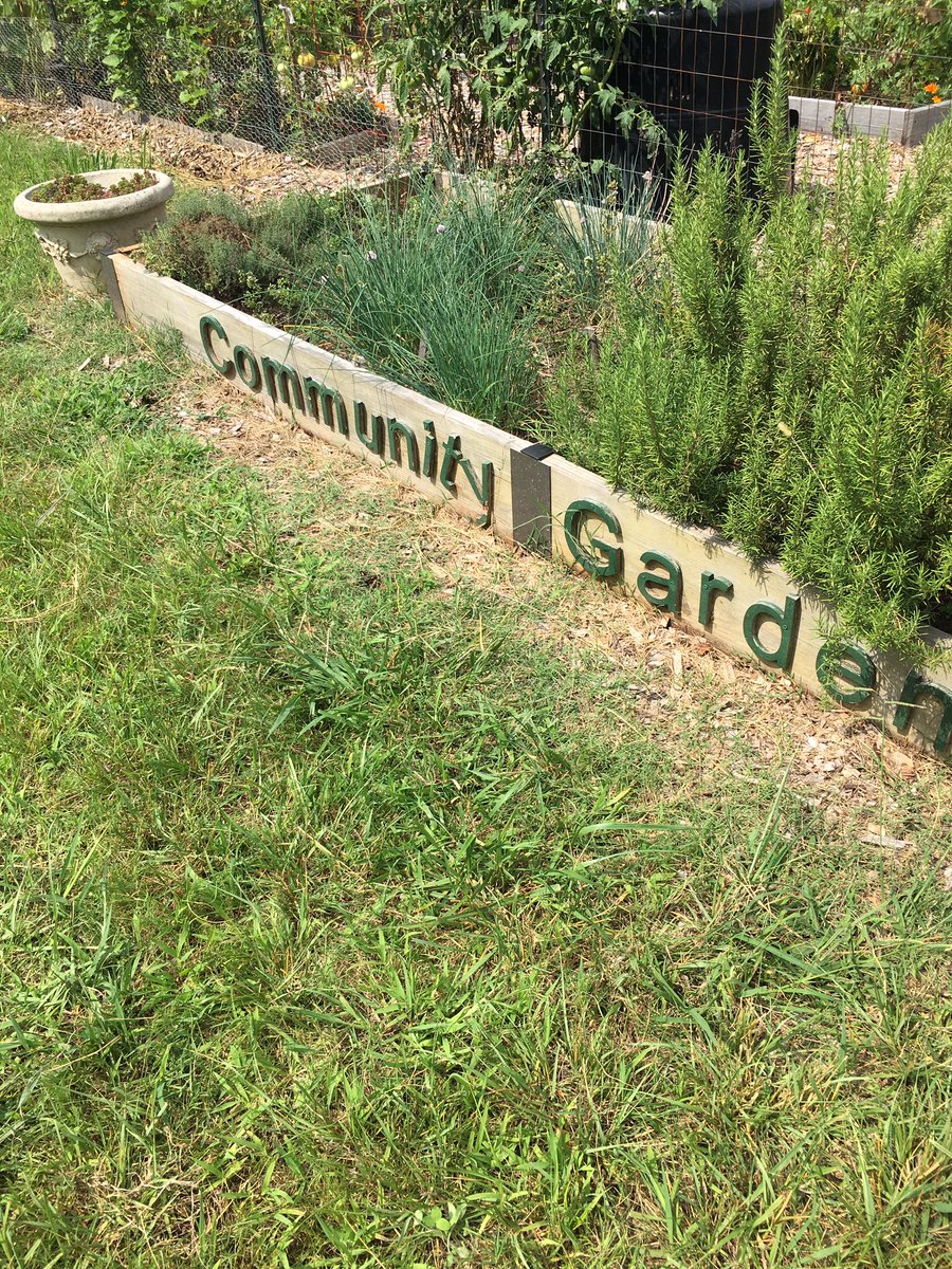 Community garden #teams #cesteach