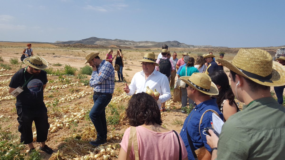 Jumosol-Agrofuentes tweet media