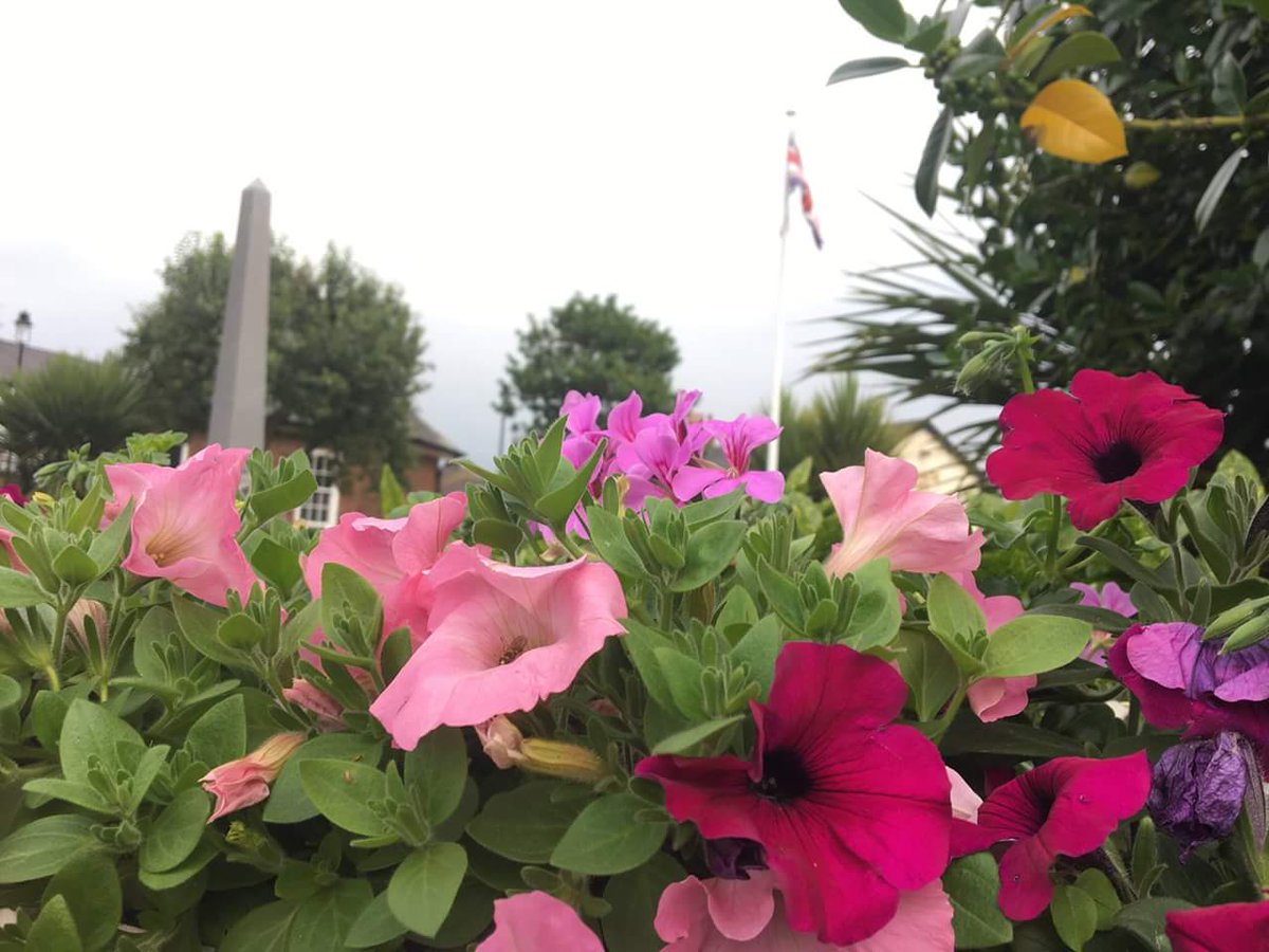 Freckletonbloom's tweet photo. Looking forward to @NWIBofficial judging and hoping for a fine day. Good luck everyone https://t.co/dP24YlbzVJ