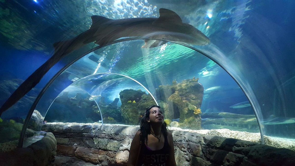 omaiima_pmaf's tweet photo. million years ago - Adele. 🐠 https://t.co/DPu8xAWQBZ