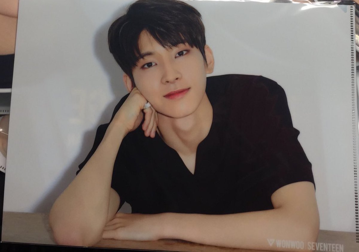 id buy 100 of this clear file