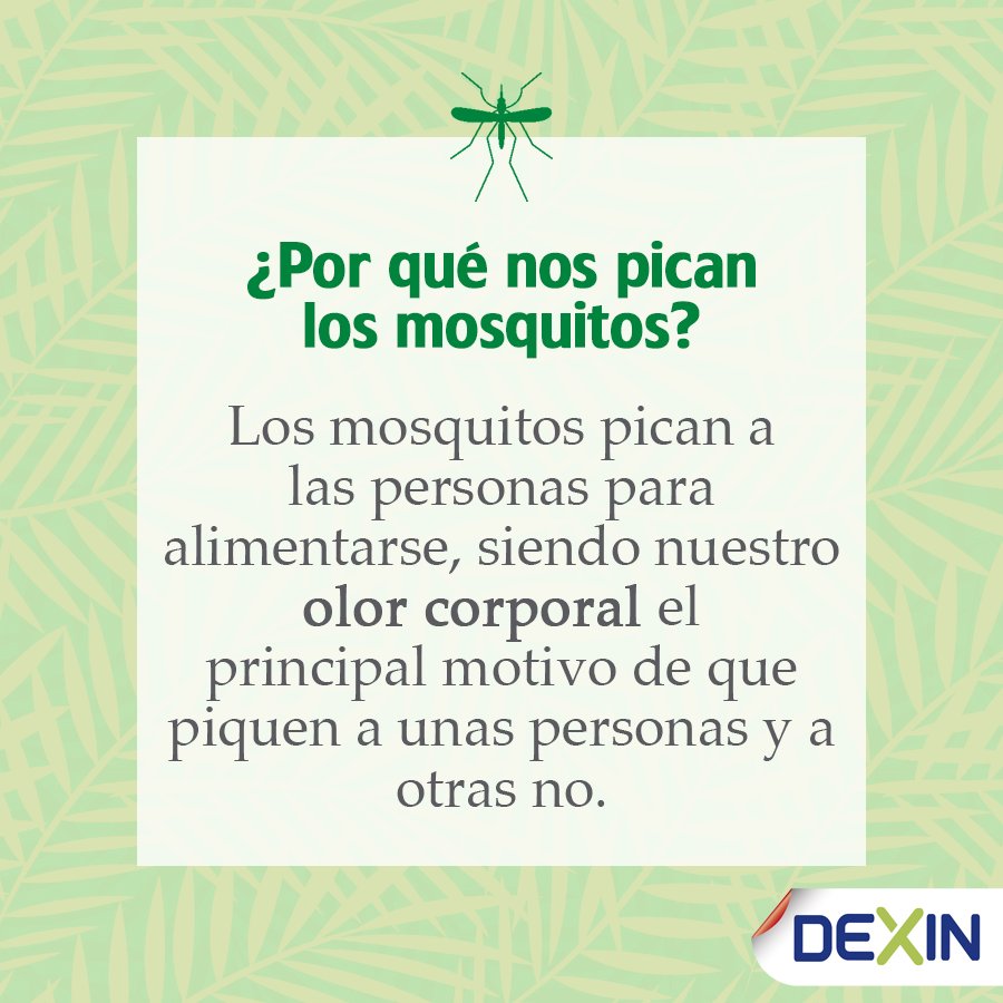 ¿Por qué nos pican los mosquitos? #DEXIN
