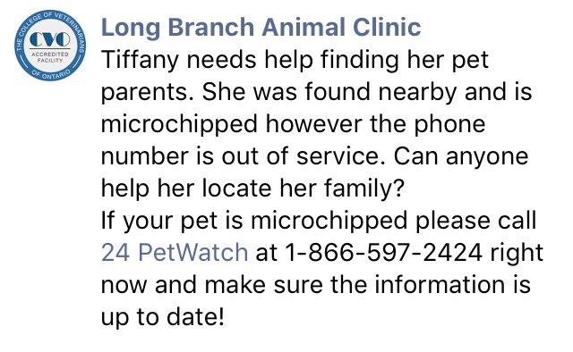 PetfindToronto's tweet photo. Please help. Rt2unite. https://t.co/wDIQYFCHRH