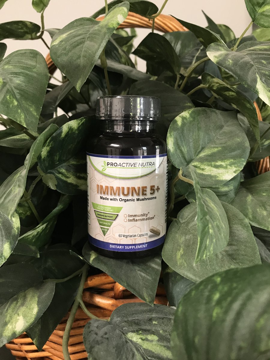 ProactiveNutra's tweet photo. Cold &amp; Flu season is coming. Support your immune system with Immune 5+. Shop: https://t.co/4Cd0OSR44J #ProactiveNutra #immunehealth #immune https://t.co/4ThiIkIqo7