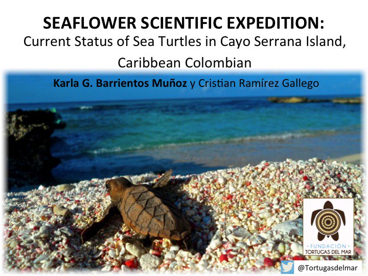 5-minute🗣: MONITORING AND REMOTE SENSING
📍Barahona3
⏰11:05 ➡ #Seaflower2016 Current Status of #Seaturtles in #CayoSerrana Island 🇨🇴#ICCB2017