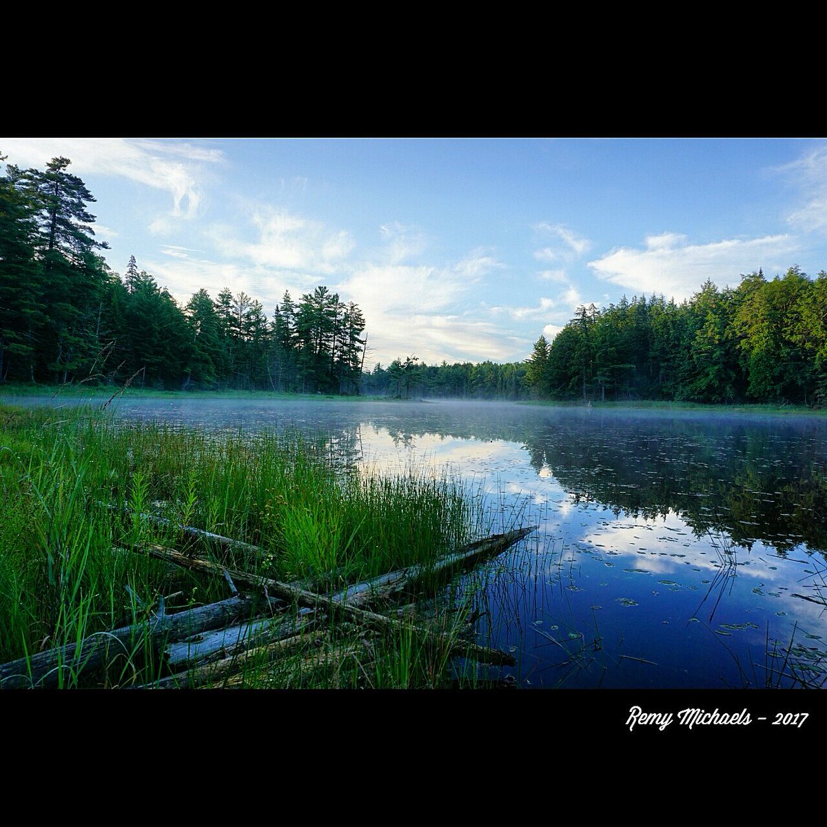 remymichaels's tweet photo. "NORTHERN WHISPERS" https://t.co/hRCA1yfAaR #AdventureTrailRunning #AlgonquinPark #JakeLake #Wild #Photography #CanadianGeographic #Earth https://t.co/OFbzCkQbRI