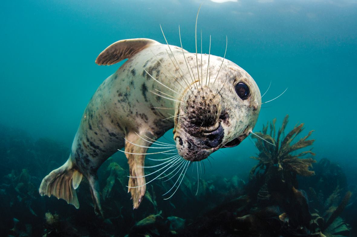 EU_ENV's tweet image. #EUNature Action Plan puts forward 15 actions to benefit nature, people and the economy 🌼🌿Learn more ➡️ europa.eu/!MU36Yn  #Natura2000