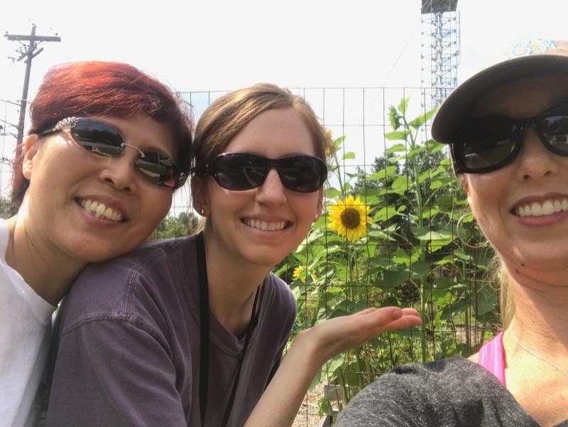 lydiadcraft's tweet photo. Wildflowers @mwallaceut #cesteach #specialisteagles https://t.co/doOms9HYeC