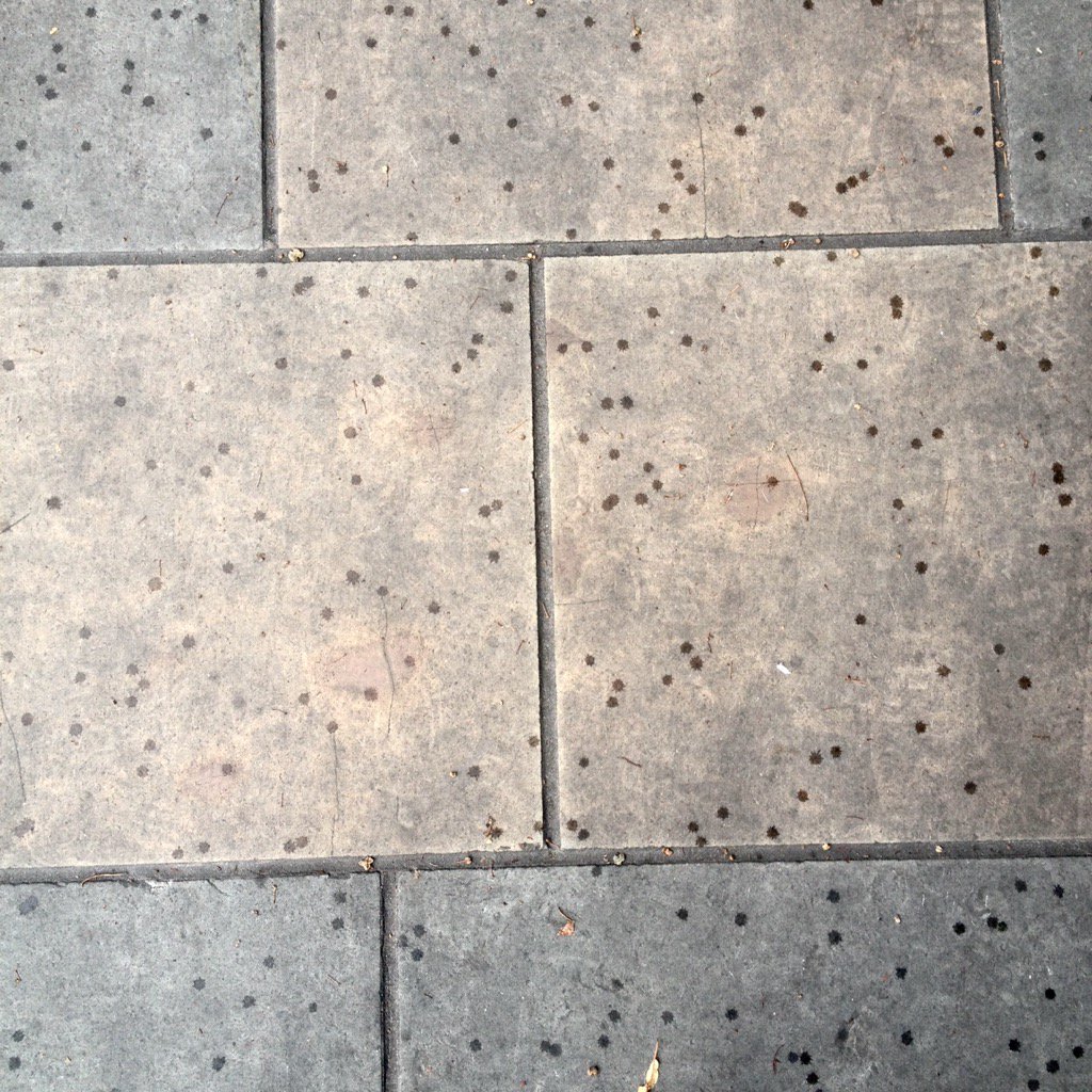 pluscezplus's tweet photo. Polka-dotted english rain on stone. #rainydays #TextureOfTheDay https://t.co/0cT4B9jRBq
