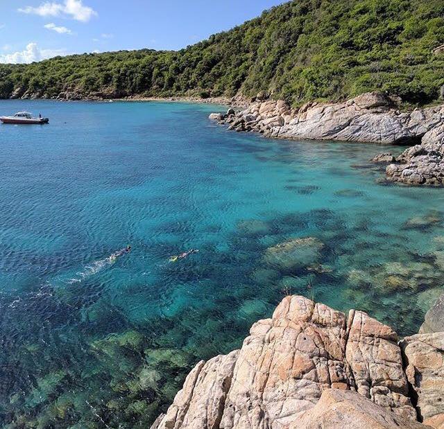JanineCifelli's tweet photo. Off-island #snorkeling trip to #KitchenPoint on #GeorgeDogIsland #BritishVirginIslands #EustatiaIsland #islandlife #barefootluxe #travel https://t.co/Ibil0rjecM