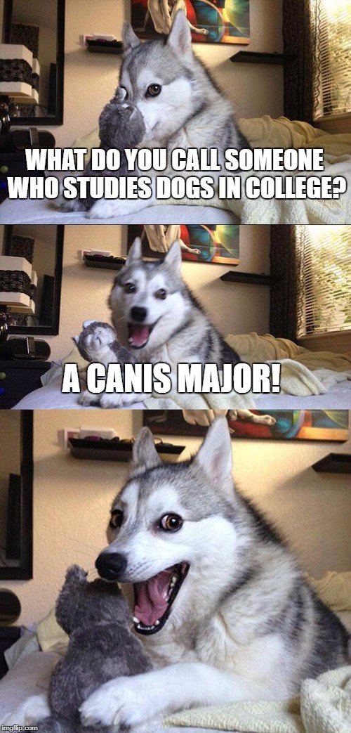 cpurcell753's tweet photo. works with ursa too, but the meme. #canismajor #latinhelps @FRAclassics @ACLClassics  @magistra_sedes @EdZaborowski1 https://t.co/sGssOO5P1W