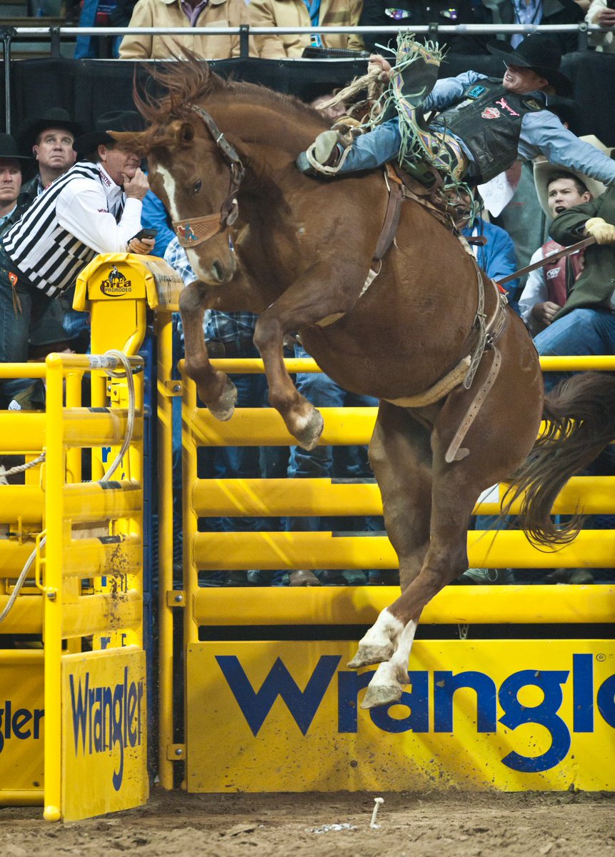 PRCA_ProRodeo's tweet photo. #LetErFly https://t.co/bGFoTrIkQH