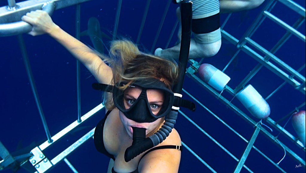 locatingalyssa's tweet photo. How to be an Ocean and Shark Conservationist While Traveling https://t.co/4HLYtBSRUz https://t.co/sK0li912eC