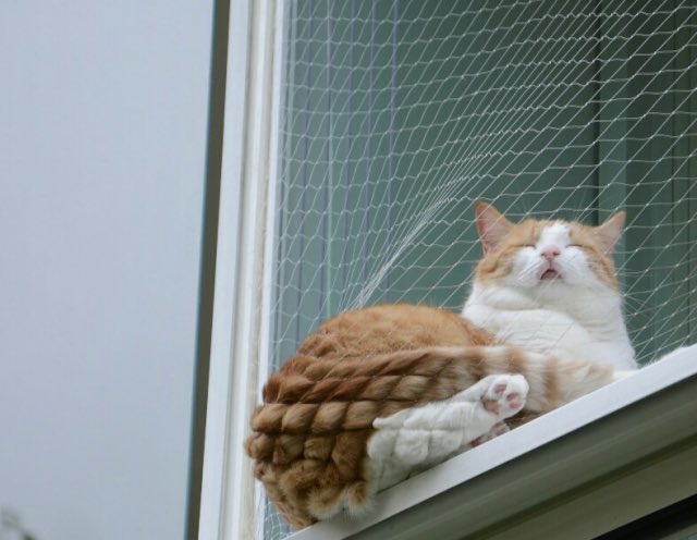 Önemli Duyuru 📢

Hane Dergisi ailesi olarak edebiyat&amp;kültür alanında kalemlere sarılıyoruz. Aylık interaktif sayımızda sende bize katıl!