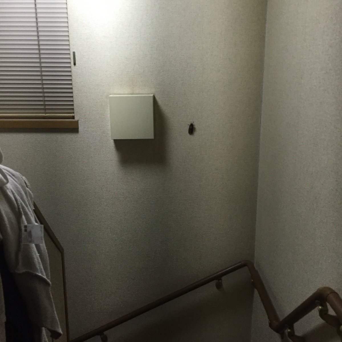 雫 Twst別垢 ありのままを話す 今帰宅して 階段登って部屋のクーラー入れてふと振り返ると でかい デカい ゴキブリ 思わず息止まるけど 良く見たらセミでした って え セミ なんで え な え ど どどどどどいこと え 部屋の窓開けないん