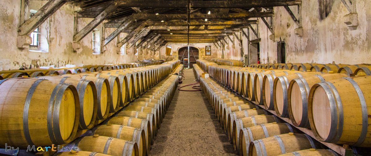 SunshineImages's tweet photo. #medoc #wine #photography https://t.co/v6U1h8wpDA