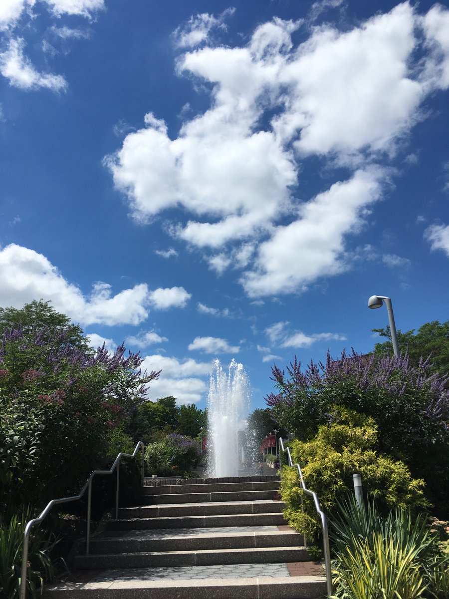 CEASSBU's tweet photo. It's a beautiful day on campus! #sceneatsbu https://t.co/EJQWsymodQ