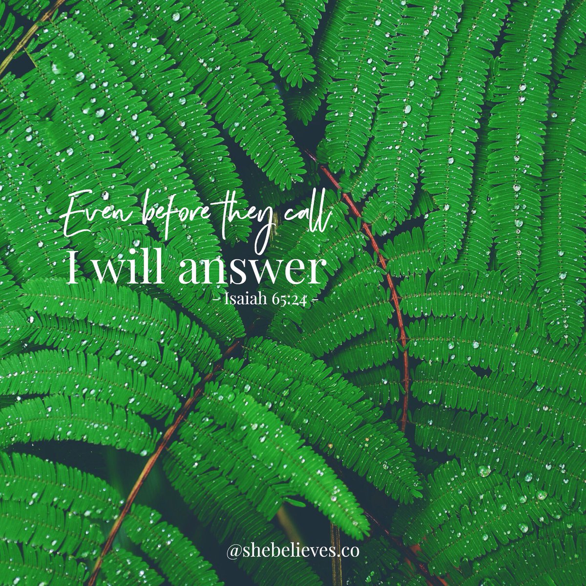 BethAnnForo's tweet photo. Ya, He is that good! Believe it! &amp; never stop talking with God! {Isaiah 65:24} https://t.co/tDC9bUhKfC