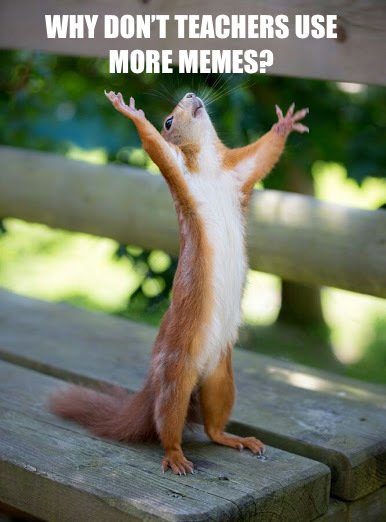 kiario28's tweet image. Do you want to know why teachers don&apos;t use more MEMEs in the classroom? Check session bit.ly/2rHx2Ym #ChatbotsinED #NYCSchools