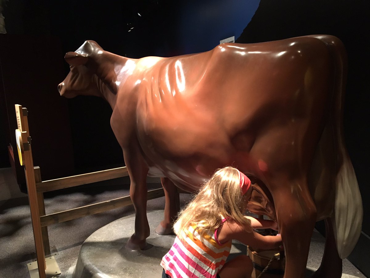 MrsBrem's tweet photo. Learning a little bit about NC History today at @NCmuseumhistory! #schoolsoutlearningcontinues https://t.co/yPBwCvgCAa